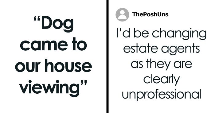 Potential Buyer Brings Dog To House Viewing, Lies From The Agent Leave Homeowners Betrayed