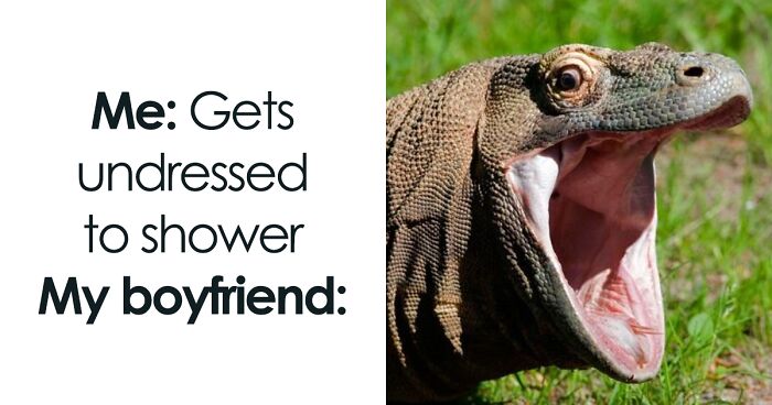 86 Funny And Wholesome Relationship Memes To Make Single People Sigh