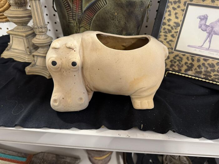 I Already Have A House Hippo But This Guy Looks Pretty Cool! Found In Rapid City SD At Thrift Town!