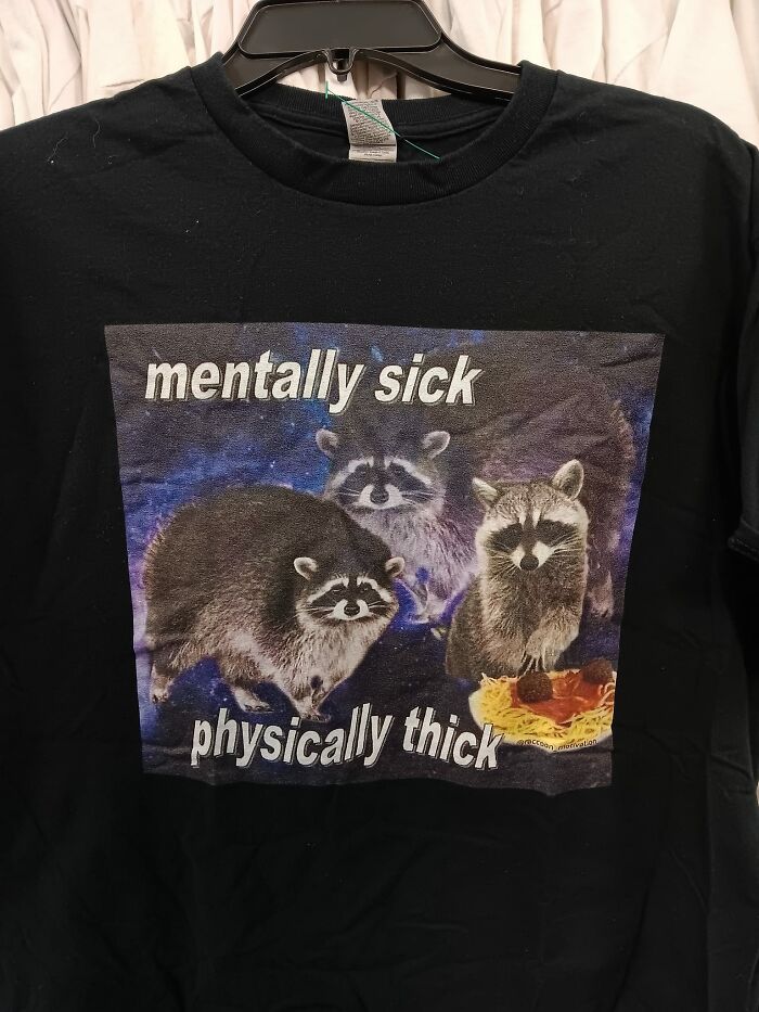 Found Yet Another Raccoon Shirt!