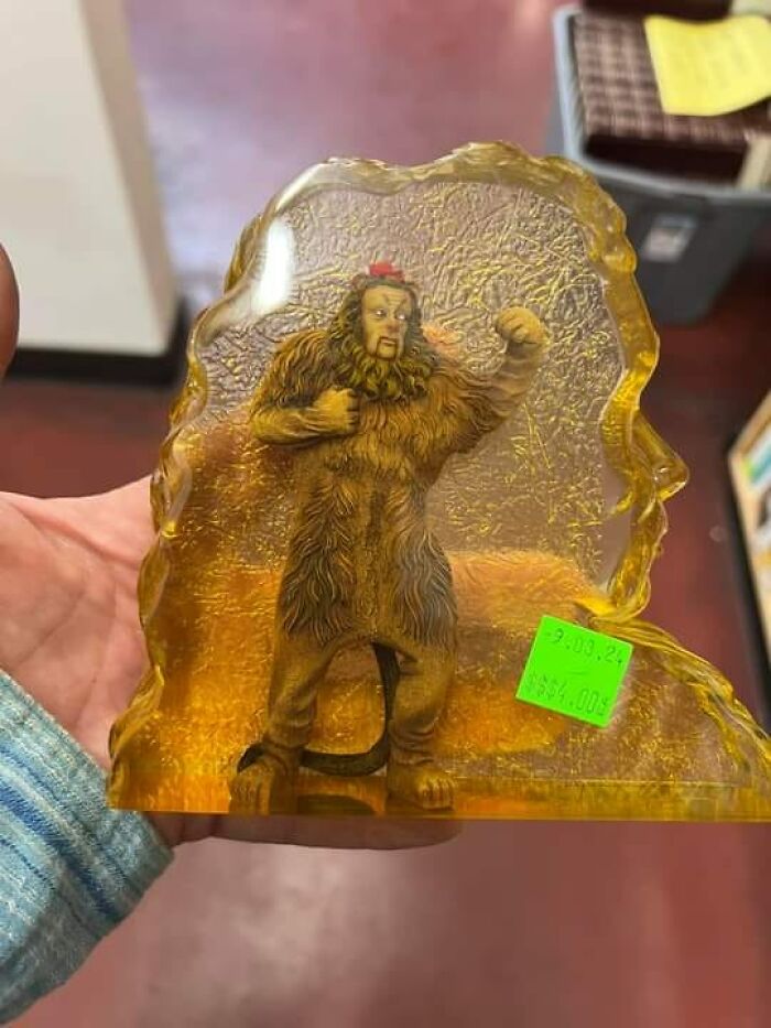 Weird? Check! Wonderful? Check! Did It Come Home With Me From Svdp In Tucson? Check! A Slice Of Cowardly Lion Resin Silhouette With A 3D Version Inside