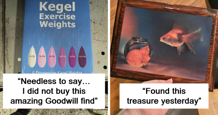 77 Weirdly Amazing Secondhand Finds That Might Make You Jealous