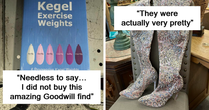 77 Times People Came Across Something So Unhinged At The Thrift Store They Had To Share