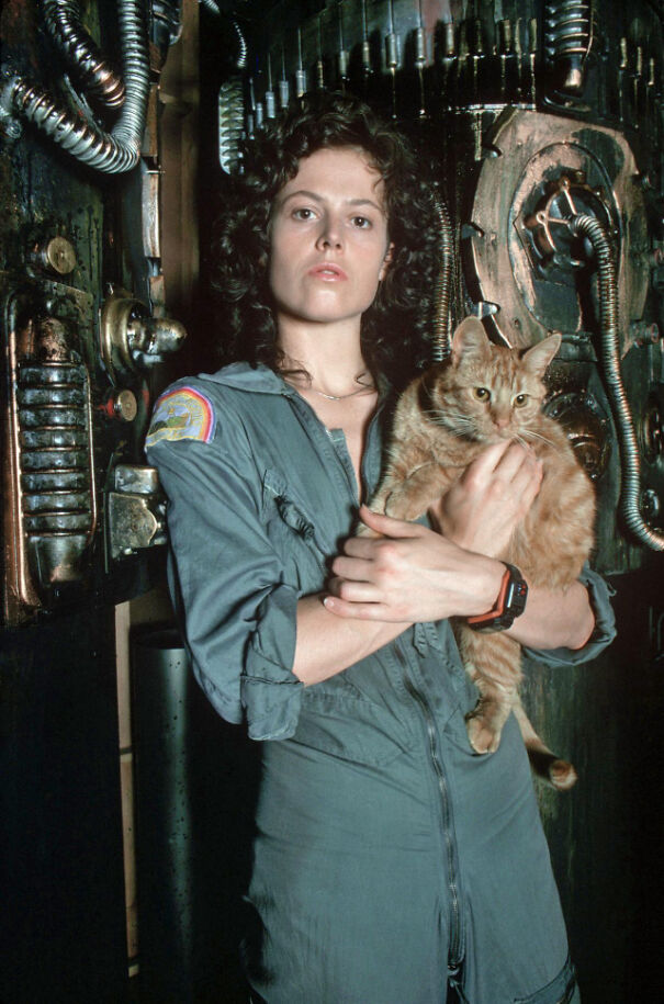 sigourney-weaver-in-alien-18-6705d304ba4f3.jpg