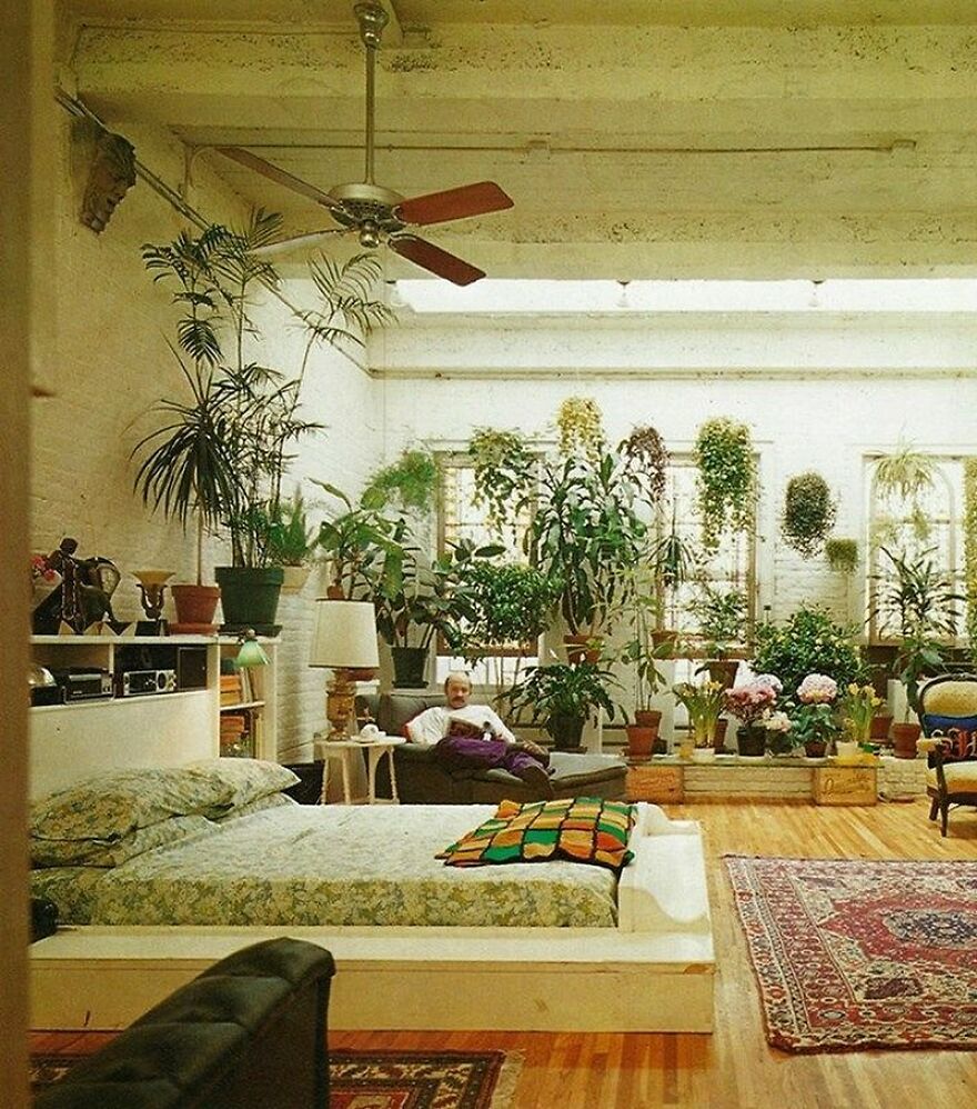 Apartment Full Of Plants From The 70s