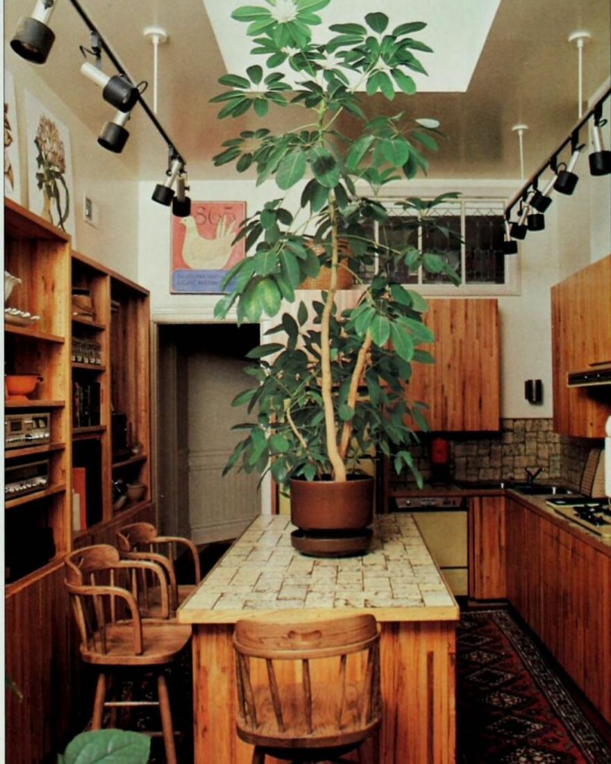 A 1970s Kitchen With A Huge Plant On The Countertop For Some Reason