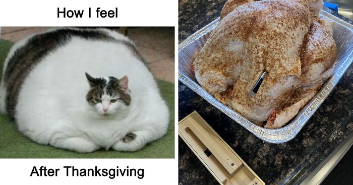 21 Small Luxuries That'll Make Hosting Thanksgiving Feel Like A Treat 