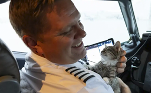 Airlines Help Evacuate Shelter Animals, Pilot Falls In Love With A Kitty And Decides To Adopt Her