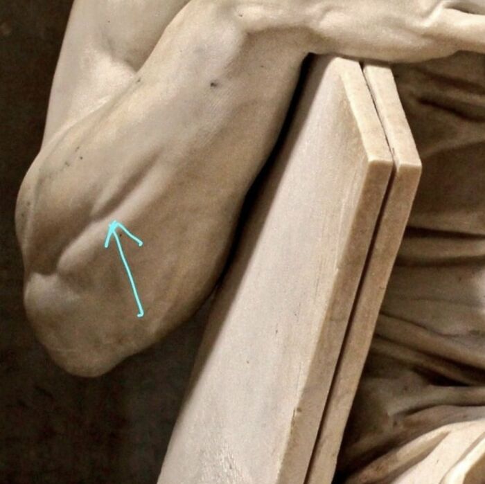 The Mind-Boggling Detail Of Michelangelo's Moses