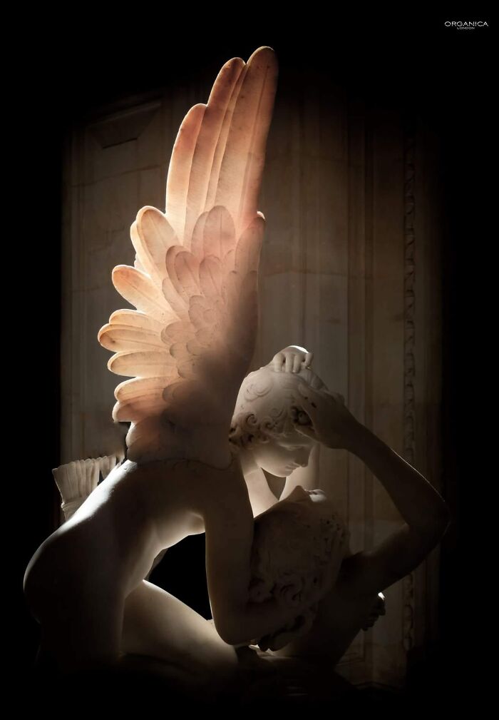 In Canova's Timeless Masterpiece, The Wings Of Cupid Are So Delicately Thin That When Sunlight Touches Them They Shimmer With A Gentle Peach Glow