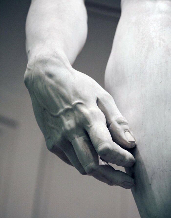 The Veins On David's Right Hand