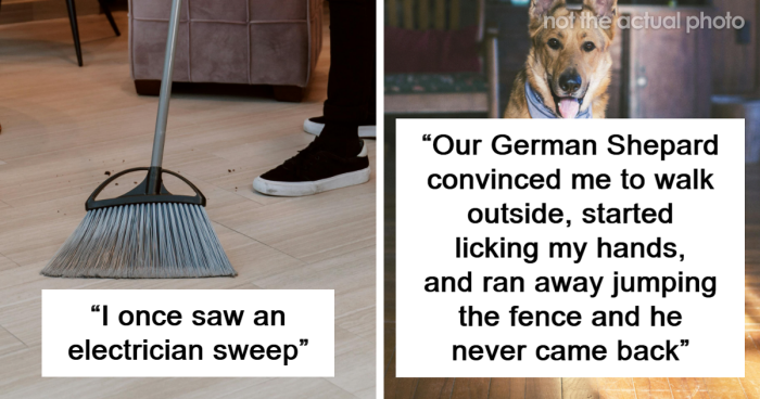 59 Things People Swear They Have Seen But Nobody Believes Them