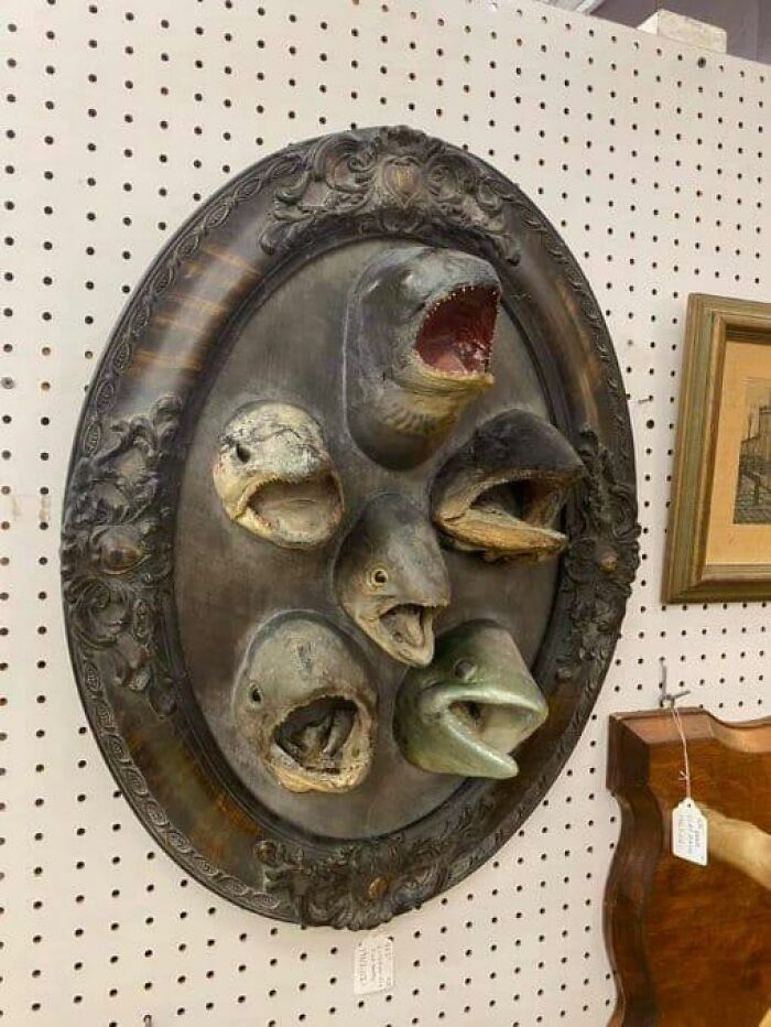 Fish Heads! C. 1930. Found At Our Local Antique Consignment Shop