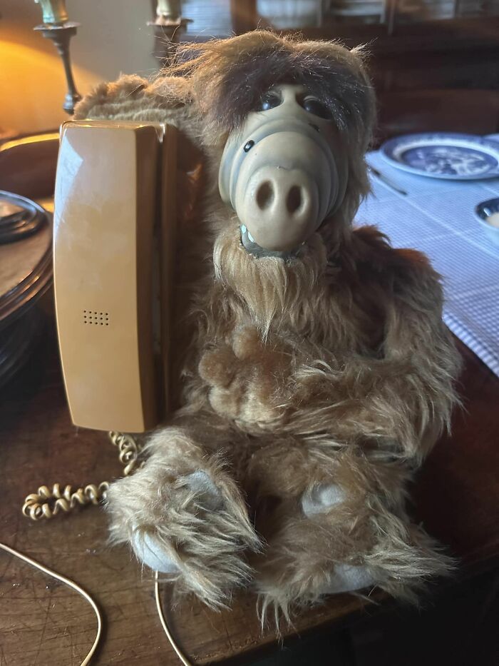 Flea Market Find From Some Years Ago. A Working Alf Phone