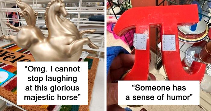 67 Weird Things People Donated To Thrift Stores, Only For Them To End Up On This FB Page