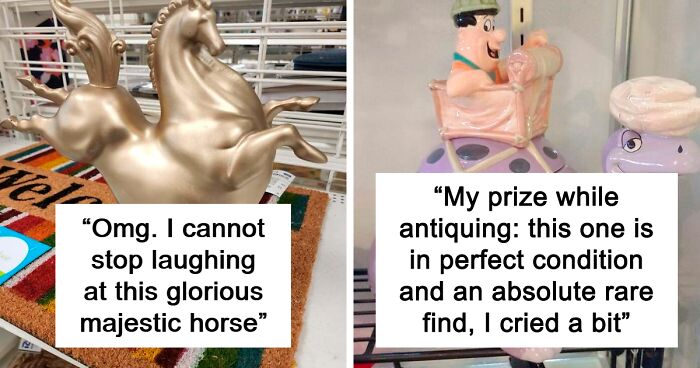 67 Pics From Thrift Stores Showing The Bizarre And Unexpected Items People Donate