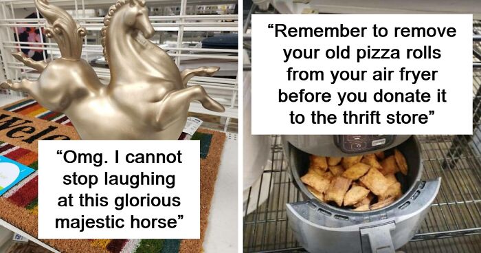 67 Of The Weirdest, Funniest And Coolest Things People Scored While Thrifting