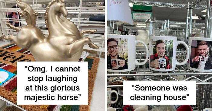 67 Times People Found The Funniest And Weirdest Things While Shopping Secondhand