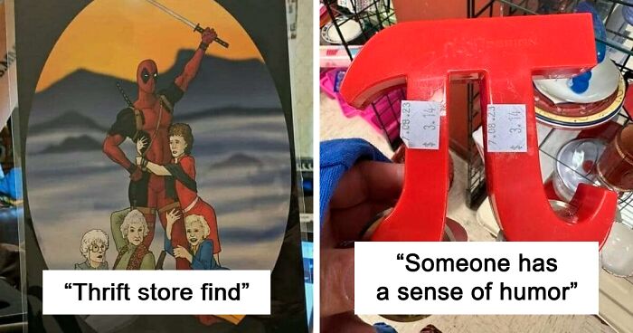 67 Funny And Weird Treasures That Can Only Be Found In Secondhand Shops