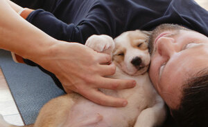 Yoga With Homeless Puppies Adds Twist To Traditional “Puppy Yoga” Trend To Promote Adoptions