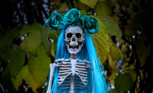 Hey Pandas, Share Cool DIY Ideas For Halloween