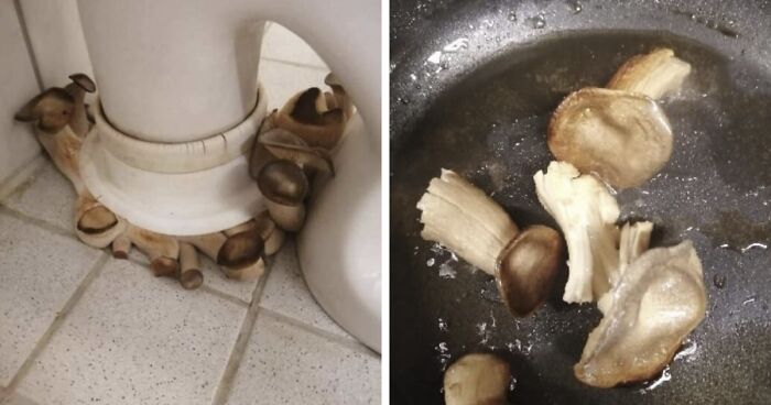 80 Of The Most Cursed Food Pics That Might Raise A Few Questions (New Pics)