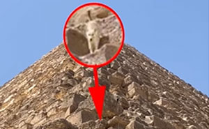 “It’s His Now”: Viral Dog That Climbed The Pyramid Of Giza Finally Comes Down