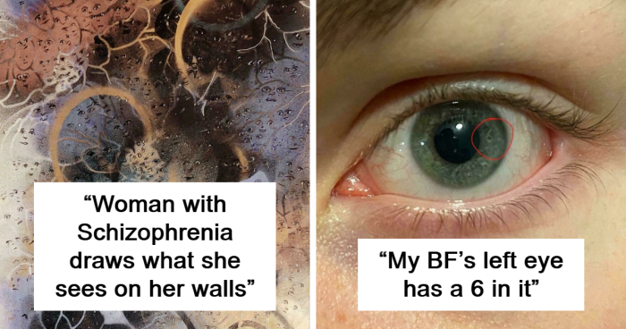 86 Times People Found The Weirdest Things And Just Had To Take A Picture (New Pics)