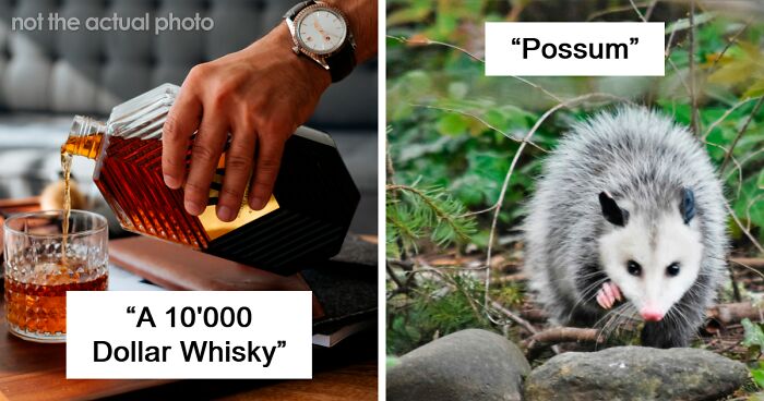 62 Times People Tasted Something Unusual Whether On Purpose Or By Accident