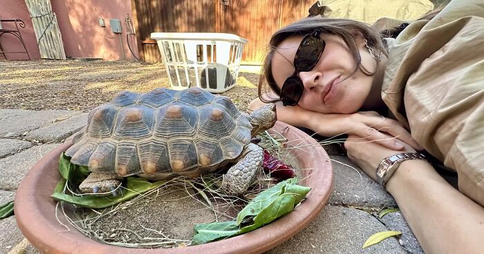 This Woman Has Become True Besties With A Sonoran Desert Tortoise She Recently Adopted