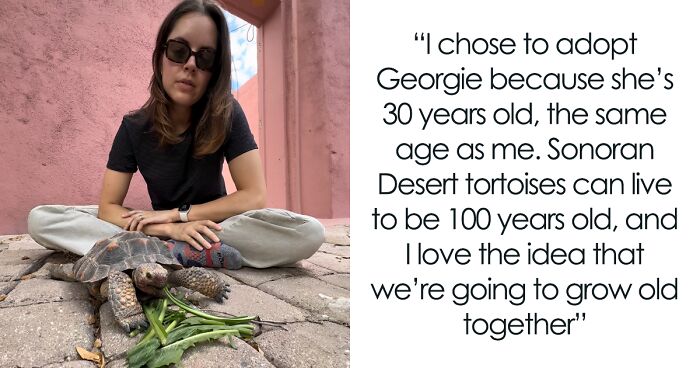 From Needing A Home To Having The Best Life Ever - Meet Georgie, A Sonoran Desert Tortoise