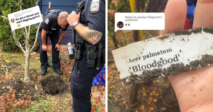 A Woman Discovered A Rug Buried In Her Backyard And The Internet Is Convinced It’s A Human Body