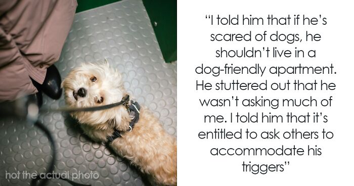 Woman Is Dragged Online For Getting In An Elevator With Guy Who Has A Phobia Of Dogs