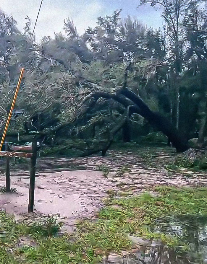 Viral Couple Who Stayed To Care For Animals Reveal Farm’s Destruction After Hurricane Milton