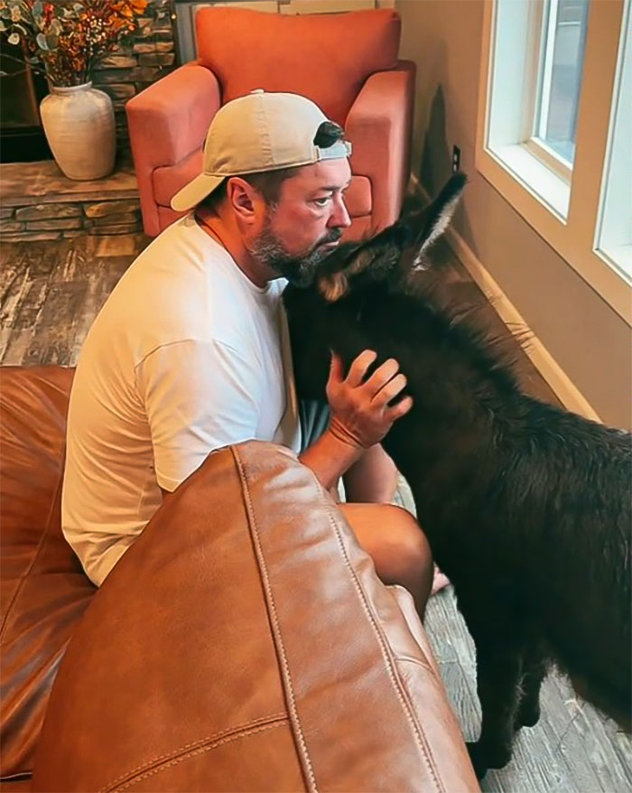 Viral Couple Who Didn’t Evacuate Amid Hurricane Milton Brings Donkey Into Their Home