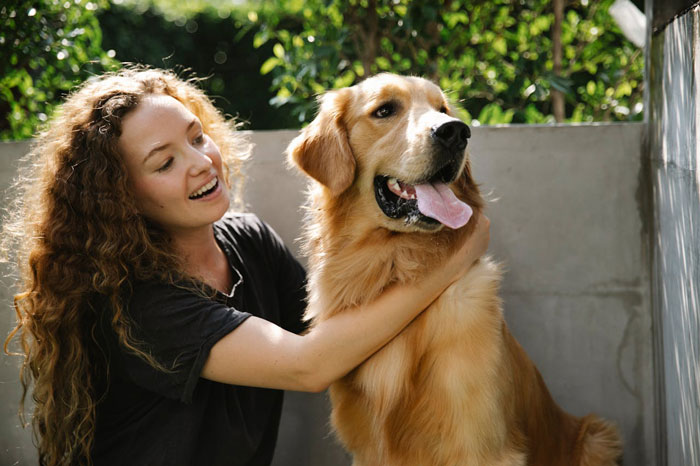 “Ignored All My Calls And Texts”: Neighbors Move Out, Leaving Their Dog Behind, Now Want Him Back