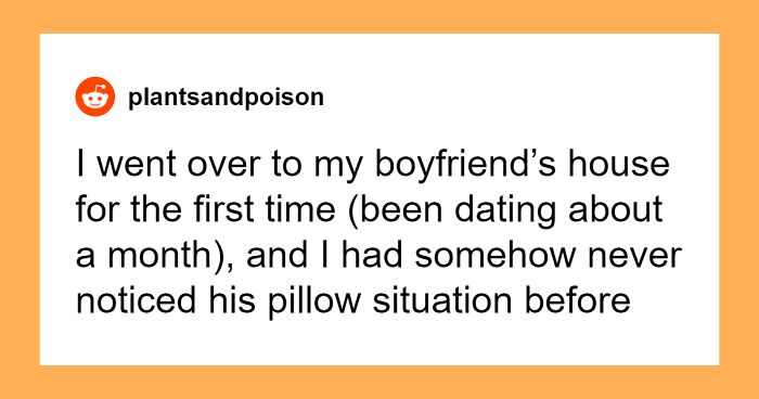 Woman Won’t Stay At BF’s For The Night Because Of His Pillows, People Agree It Was The Right Call