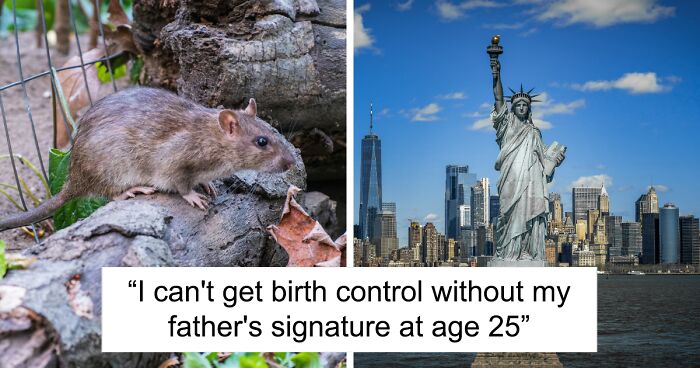 Rats Get Access To Birth Control In NYC, Sparking Outrage: “Better Healthcare Than Women”