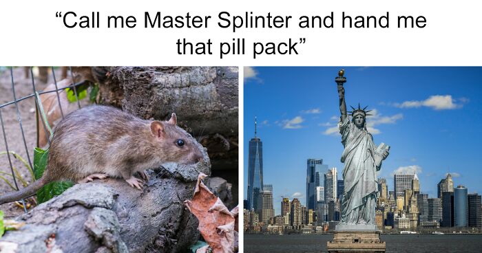 Rats Get Access To Birth Control In NYC As Controversial Bill Is Passed, Sparks Fury Among Women