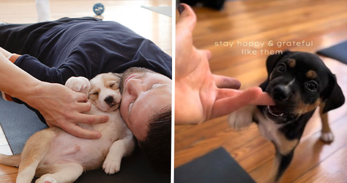 Yoga With Homeless Puppies Adds Twist To Traditional “Puppy Yoga” Trend To Promote Adoptions