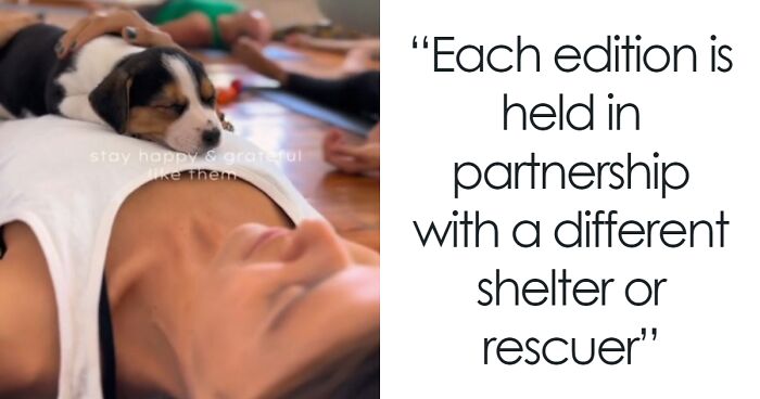 Yoga With Homeless Puppies Adds Twist To Traditional “Puppy Yoga” Trend To Promote Adoptions