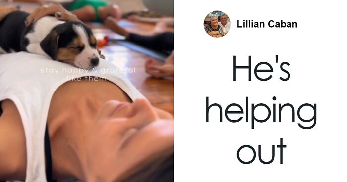 Yoga Sessions With Abandoned Puppies Go Viral In A Country With Over 6 Million Stray Animals