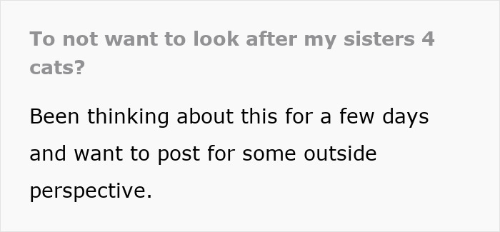 "[Am I Being Unreasonable] To Not Want To Look After My Sister's 4 Cats?"