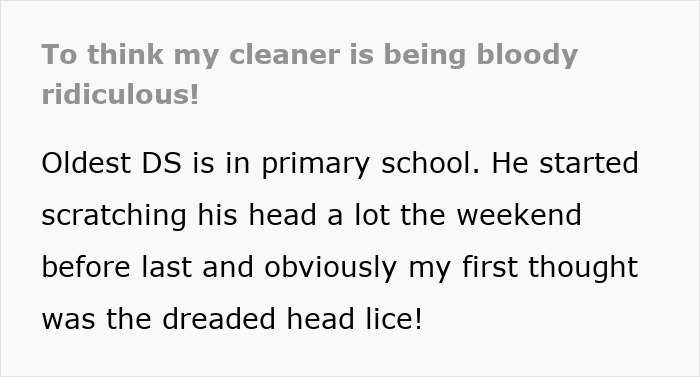 Woman Thinks Her Housekeeper Is Being "Absurd" Over Not Daring To Work In Her Home As They Have Lice