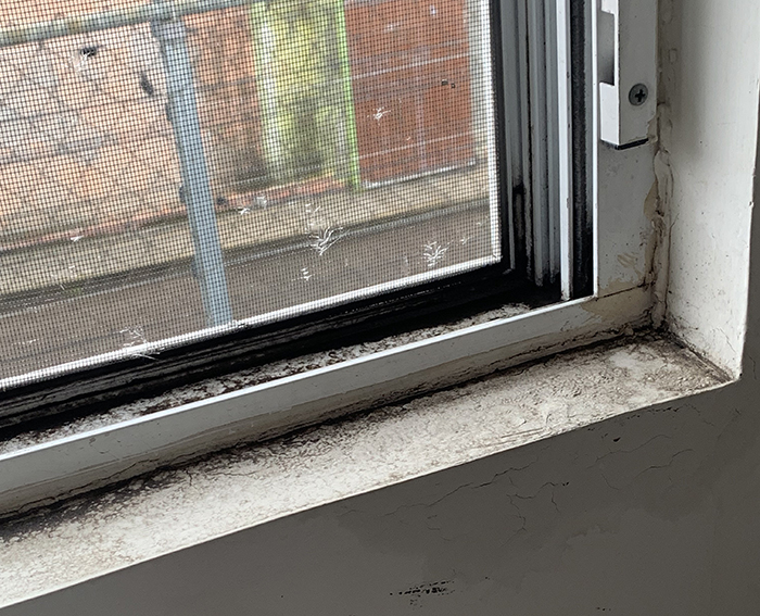 "Dirty window sill in a filthy apartment, girlfriend unaware of boyfriend's concerns about cleanliness.