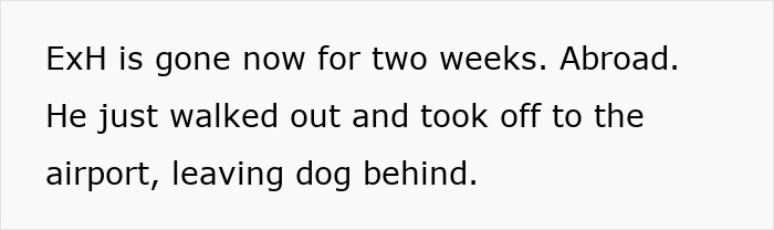 Woman Stuck With Ex’s Massive Dog As He Goes Abroad, Starts Calling Shelters To Get Rid Of It