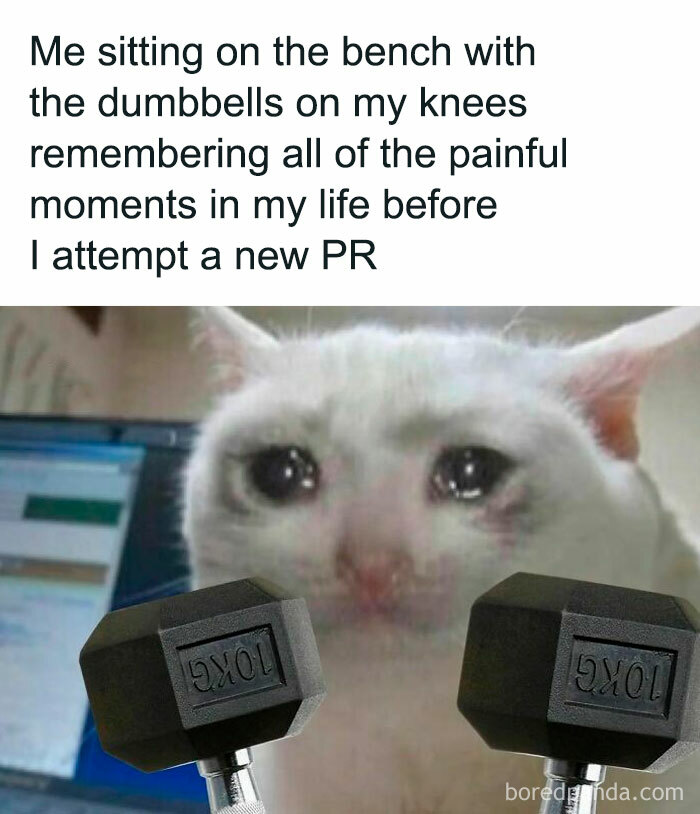 Funny-Gym-Memes-Gymmemesig