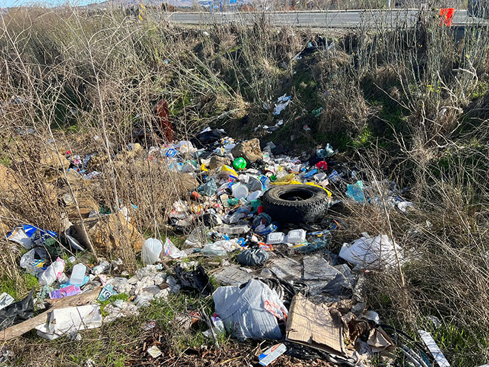 Guy Who Cleans Up Bay Area Gets To Enjoy The Fruit Of His Work As He Witnesses The Nature Return