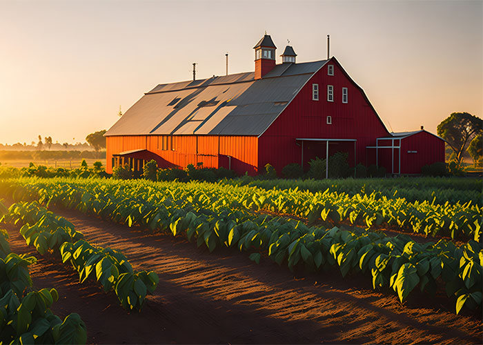 HOA Think They Can Tell This Farmer What To Do: "Going To Fine Me $1,000 A Day"