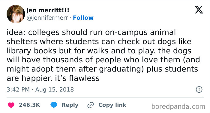 Screenshot of a random tweet suggesting colleges should have on-campus animal shelters for students to borrow dogs.